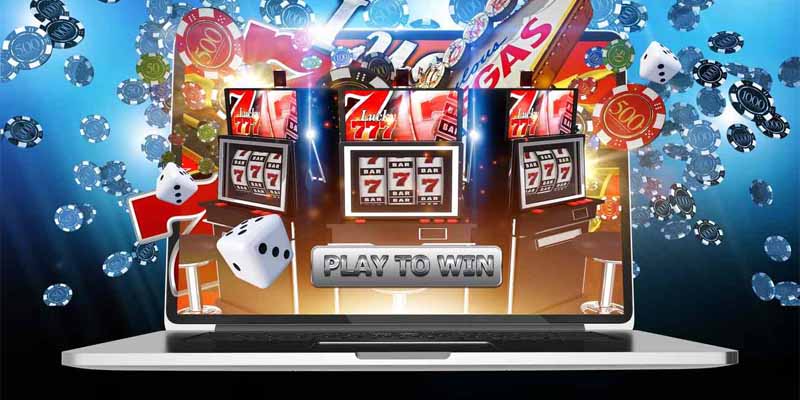 Nhiều thể loại đa dạng